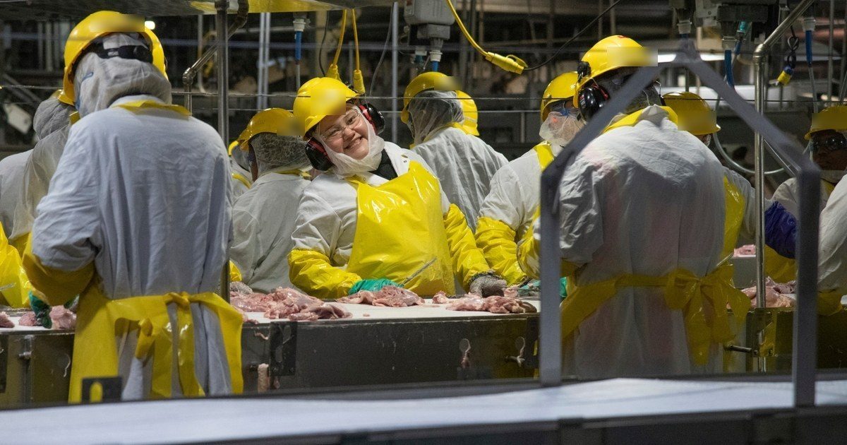 Workers in protective gear on a food processing line