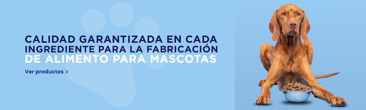 Nutrición segura para mascotas