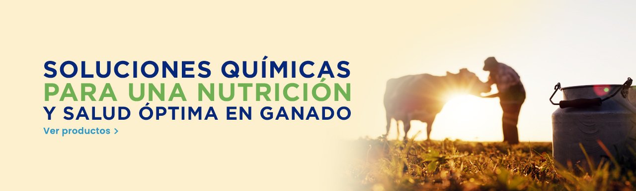 Soluciones químicas para una nutrición y salud óptima en ganado
